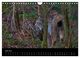 Thumbnail-8