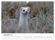 Thumbnail-11