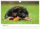 Thumbnail-11