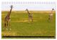 Thumbnail-11