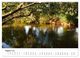 Thumbnail-9