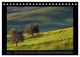 Thumbnail-9