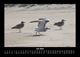Thumbnail-11