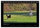 Thumbnail-11