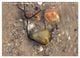 Thumbnail-10