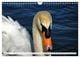 Thumbnail-9