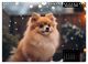 Thumbnail-13