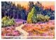 Thumbnail-8