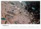 Thumbnail-13