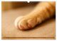 Thumbnail-12
