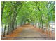 Thumbnail-8