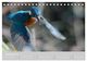 Thumbnail-14
