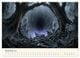 Thumbnail-14