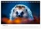 Thumbnail-12