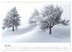 Thumbnail-11