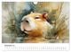 Thumbnail-14
