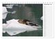 Thumbnail-14