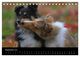 Thumbnail-11