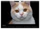 Thumbnail-9