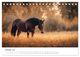 Thumbnail-12