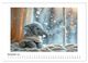 Thumbnail-14