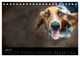 Thumbnail-11