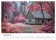 Thumbnail-14