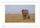 Thumbnail-14