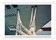 Thumbnail-14