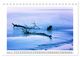 Thumbnail-12
