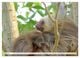 Thumbnail-9