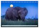 Thumbnail-9