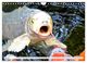 Thumbnail-12