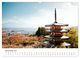 Thumbnail-12