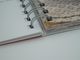 Thumbnail-11