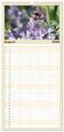 Thumbnail-13