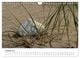 Thumbnail-12
