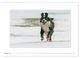 Thumbnail-12
