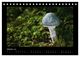 Thumbnail-12