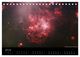Thumbnail-9