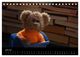 Thumbnail-11