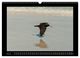 Thumbnail-11