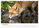Thumbnail-11