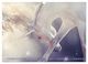 Thumbnail-12