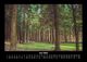 Thumbnail-10