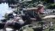 Thumbnail-10