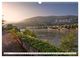 Thumbnail-11