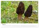 Thumbnail-10