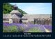 Thumbnail-8