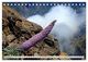 Thumbnail-14